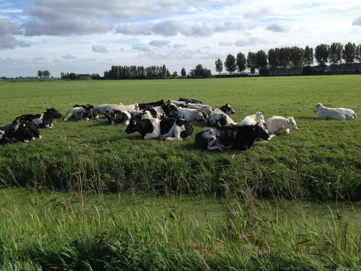 Benb Voorneputten Simonshaven Екстериор снимка